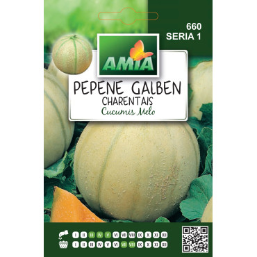 Seminte de pepene galben Charentais, 1.5 grame