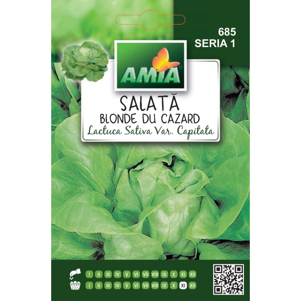 Seminte de salata Blonde du Cazard, 2 grame