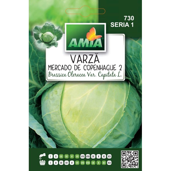 Seminte de varza Mercado de Copenhague  3 grame
