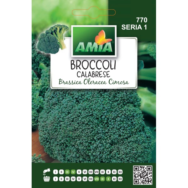 Seminte de broccoli Calabrese, 3 grame