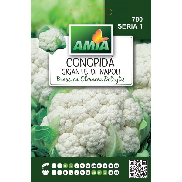 Seminte de conopida Gigante di Napoli, 0.80 gram