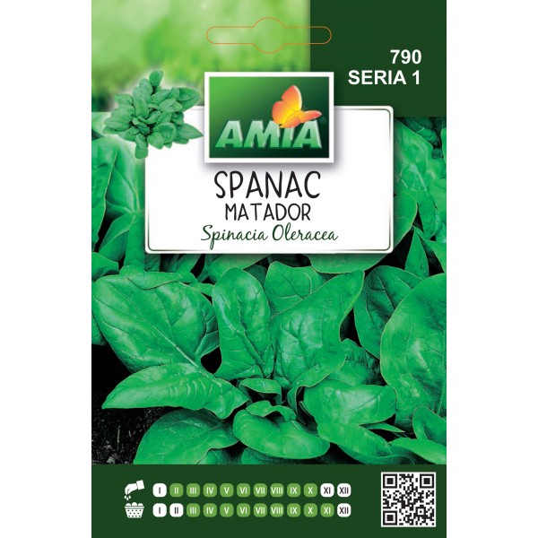 Seminte de spanac Matador, 10 grame