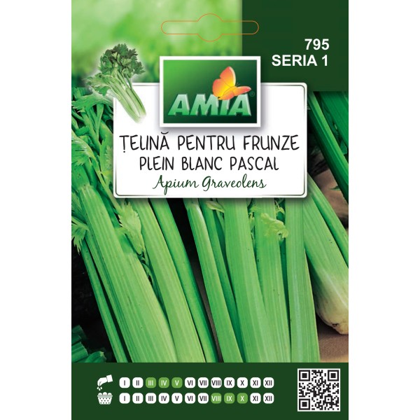 Seminte de telina pentru frunze Blanc Pascal, 2 grame