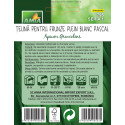 Seminte de telina pentru frunze Blanc Pascal, 2 grame
