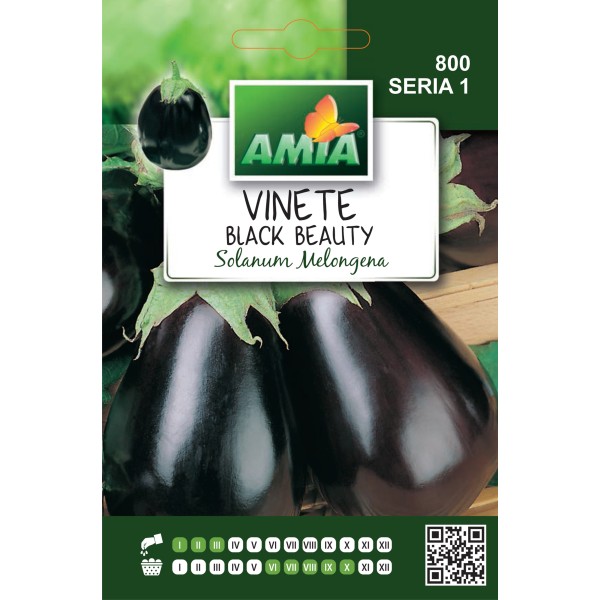 Seminte de vinete Black Beauty, 2 grame
