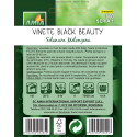Seminte de vinete Black Beauty, 2 grame