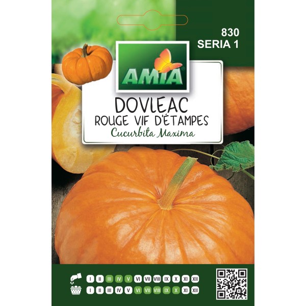 Seminte de dovleac Rouge Vif d'Etampes, 1.5 grame