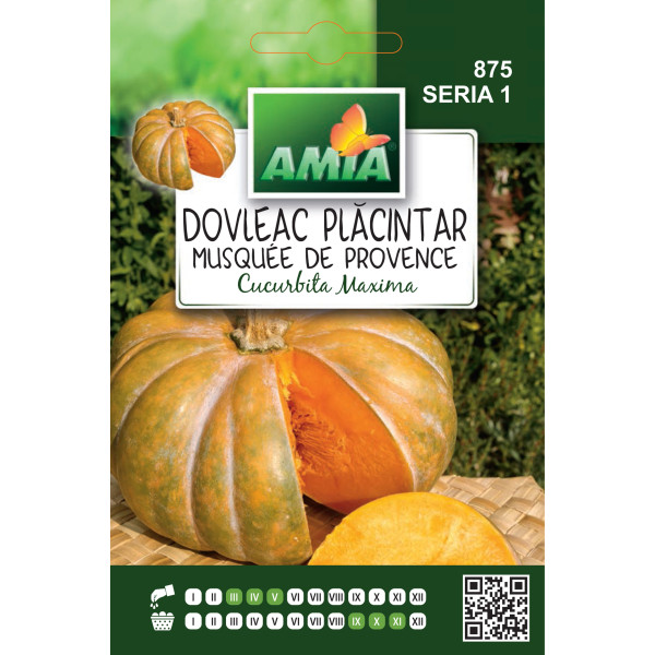 Seminte de dovleac placintar Musque de Provence, 1,5 grame