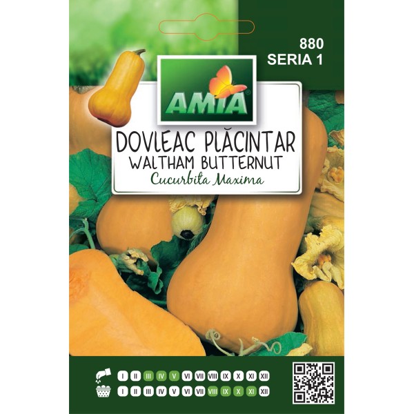 Seminte de dovleac placintar Waltham Butternut, 1 gram
