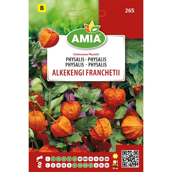 Seminte de Physalis Alkekengi Franchetii AMIA | 0.20g