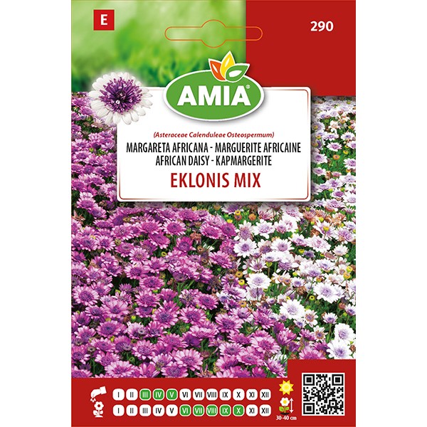 Seminte de flori Osteospermum - Margareta Africana - Eklonis Mix, 0,1 gr