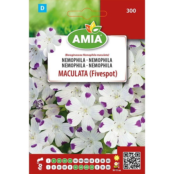 Seminte de flori Nemophila - Maculata (Fivespot) AMIA 2,5 gr