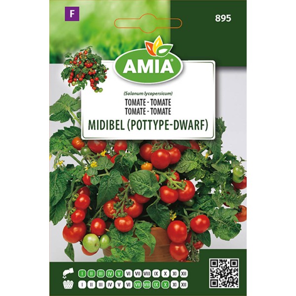 Seminte de tomate Midibel (PotType Dwarf) AMIA 0,30 g
