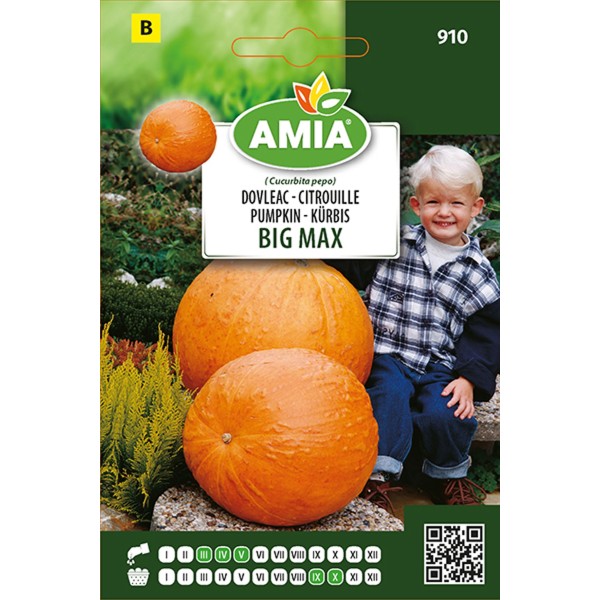 Seminte de dovleac comestibil Big Max Amia 1.50 gr