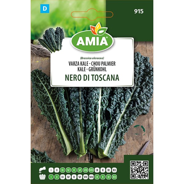 Seminte de varza Kale Nero Di Toscana AMIA 4 g