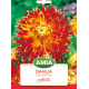 Dalia Dalia