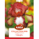 AMIA COLECTIE