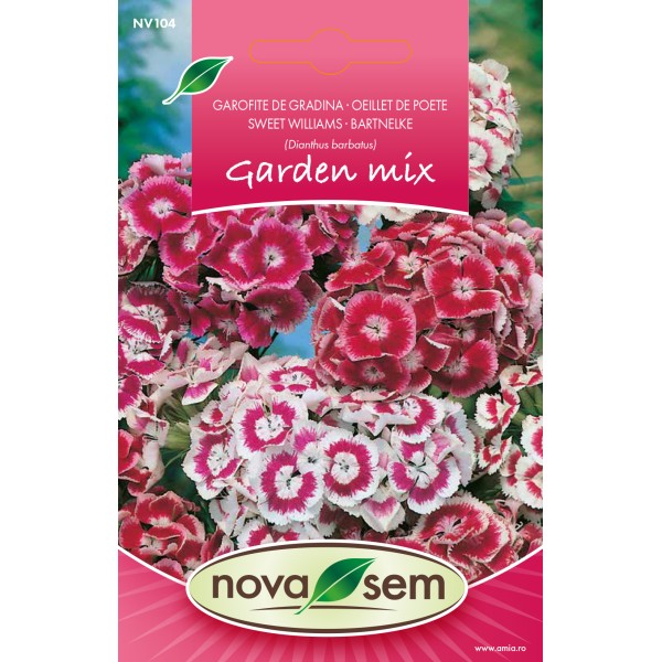 Seminte de flori garofita de gradina inalta amestec, 0,6 grame