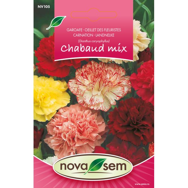 Seminte de garoafa Chabaud amestec 0,15 gr Novasem