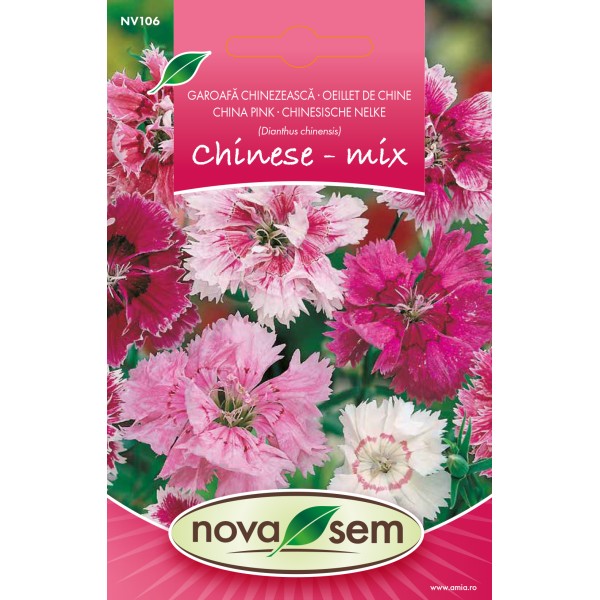 Seminte de flori garofita chinezeasca amestec Novasem 0,3 grame