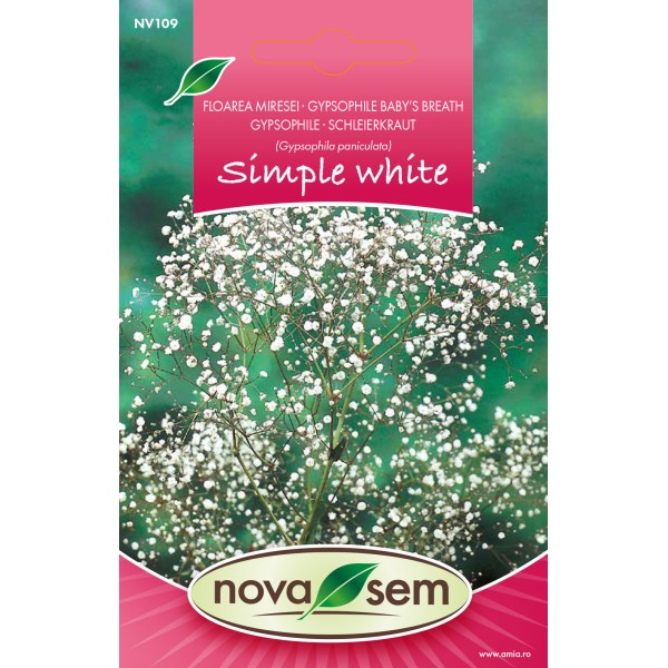 Seminte de flori floarea miresei simpla alba 0,3 gr Novasem