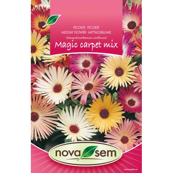 Seminte de flori ficoide amestec 0,3 gr Novasem