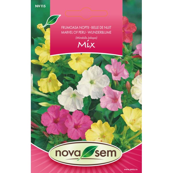 Seminte de flori frumoasa noptii amestec 2 grame Novasem