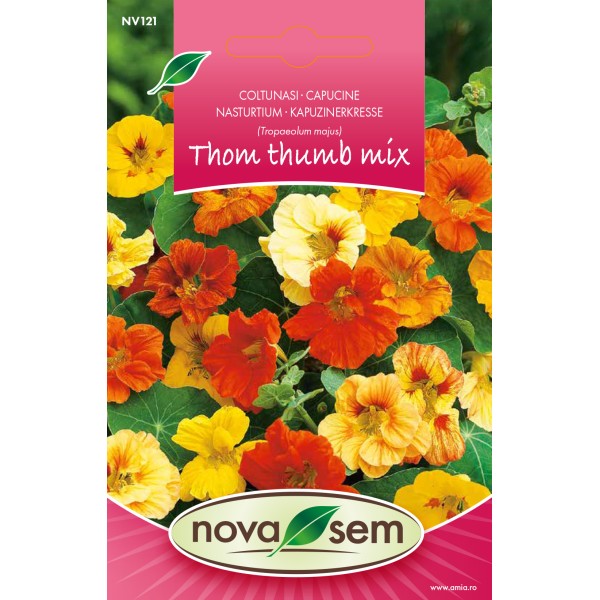 Seminte de flori coltunasi Tom Thumb amestec 2,5 grame Novasem