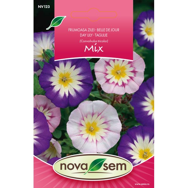 Seminte de flori frumoasa zilei 1 gr Novasem