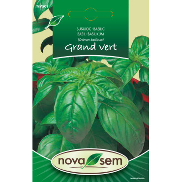 Seminte de busuioc Grand vert, 2 grame