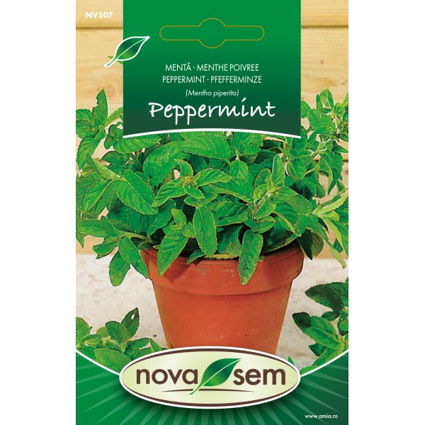 Seminte de menta, 0,07 grame
