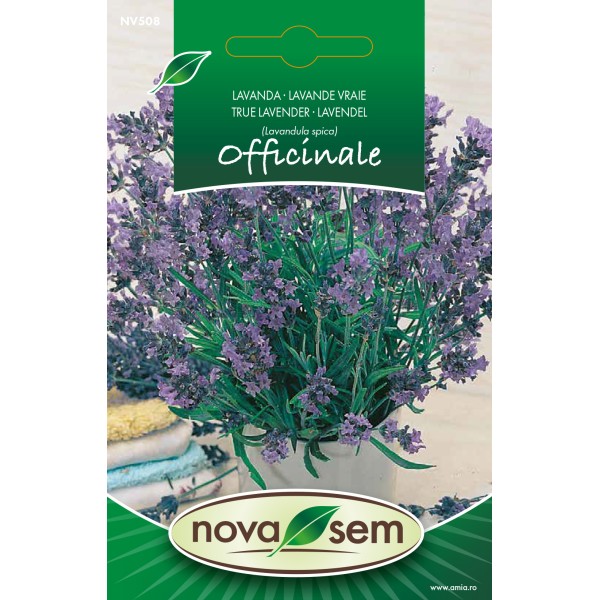 Seminte de levantica, 0,1 grame