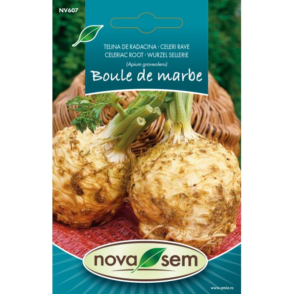 Seminte de telina Boule de Marbre, 1 gram