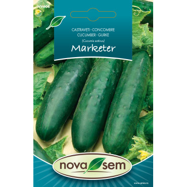 Seminte de castraveti Marketer 0,5 gr