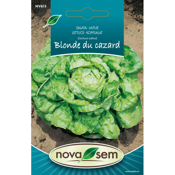Seminte de salata Blonde du Cazard, 1 gram