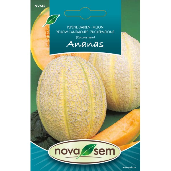 Seminte de pepene galben ananas 1 gr Novasem