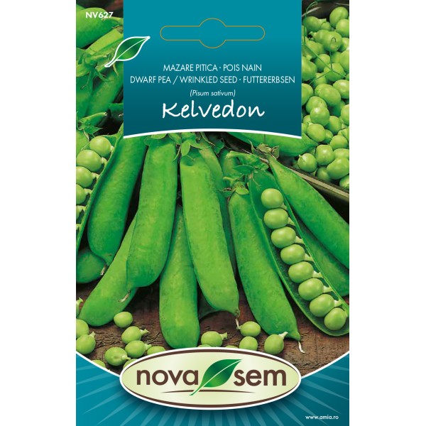 Seminte de mazare Kelvedon Wonder, 7 grame
