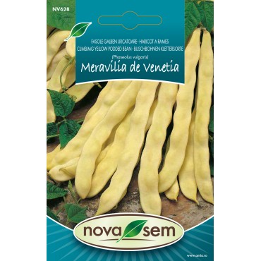 Seminte de fasole urcatoare Meraviglia de Venetia 4,5 gr