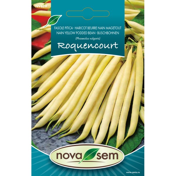 Seminte de fasole fideluta galbena pitica Rocquencourt 6 gr