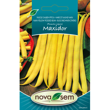 Seminte de fasole Maxidor, 4,5 grame