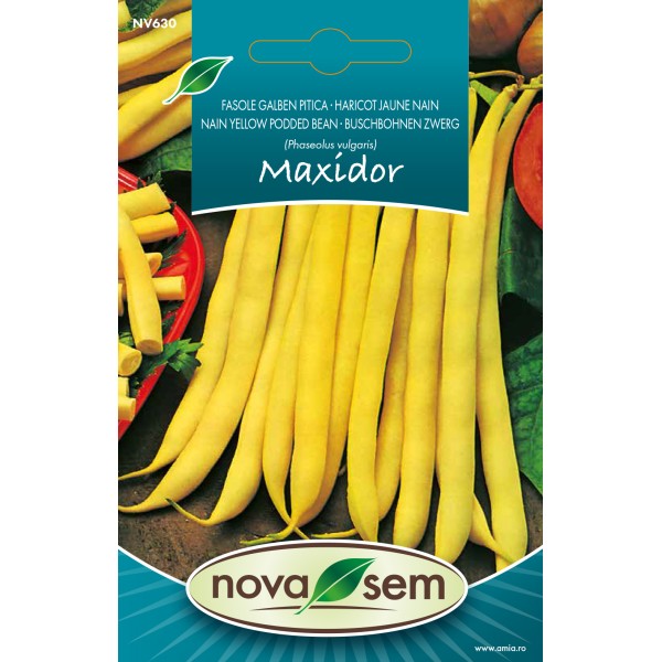 Seminte de fasole Maxidor, 4,5 grame