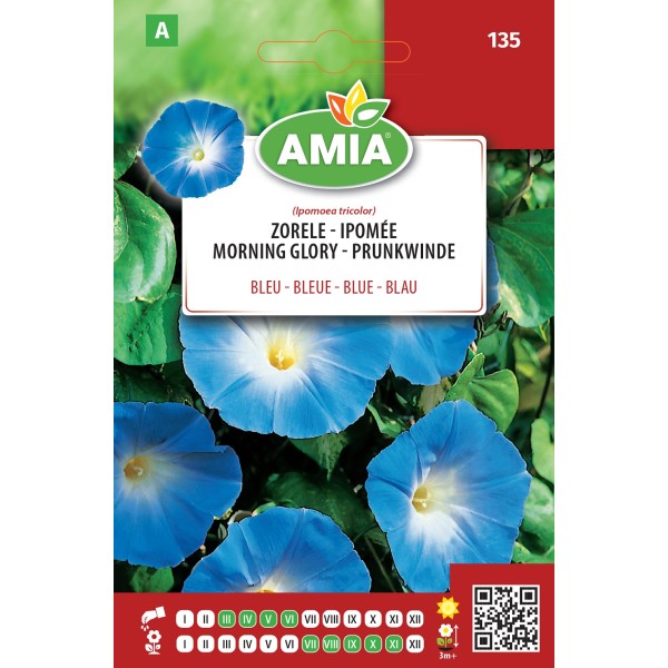 Seminte de flori Zorele bleu 3 gr Amia