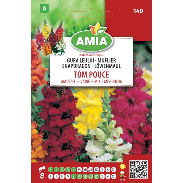 Seminte de flori gura leului Tom Pouce amestec 0,5 gr Amia