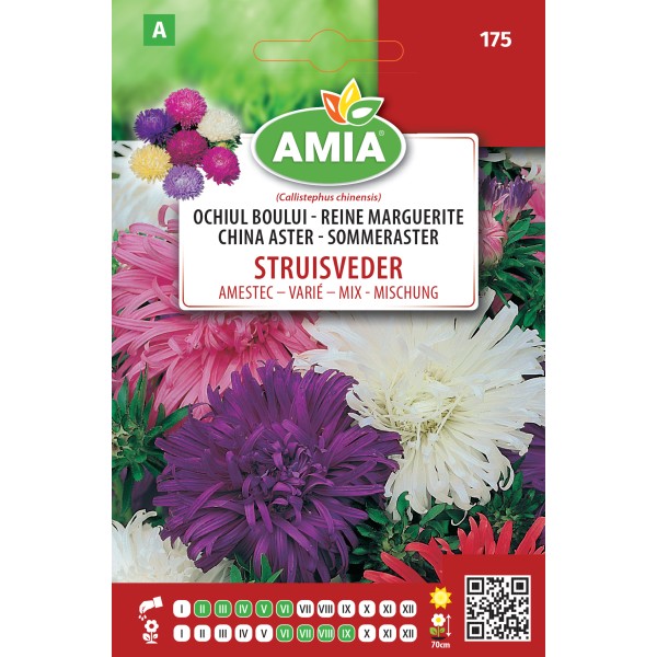 Seminte de flori Ochiul boului pana de strut amestec 0.80 gr Amia