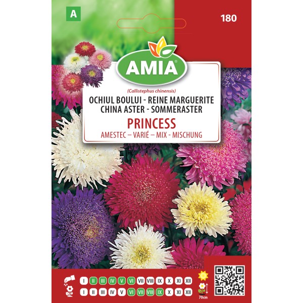 Seminte de flori Ochiul boului Princesse amestec culori 0,3 gr Amia