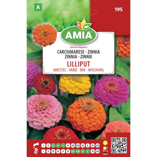Seminte de flori Carciumarese Lilliput amestec 1 gr Amia