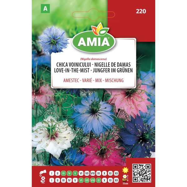 Seminte de flori Chica voinicului amestec culori 2 gr Amia