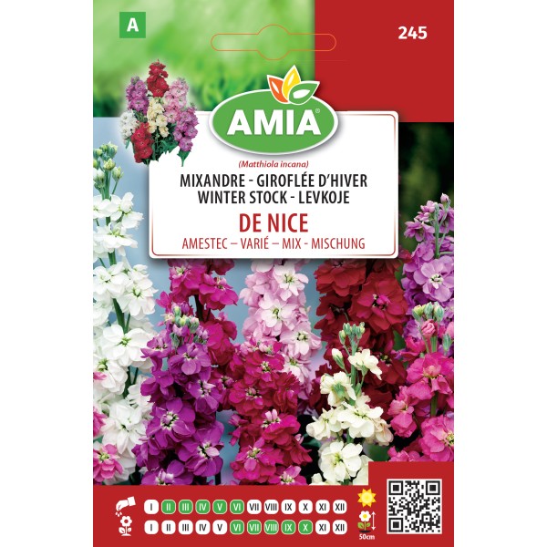 Seminte de flori Mixandre d hiver de Nice amestec culori 0,40 gr Amia