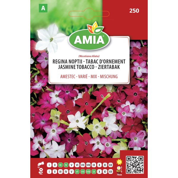 Seminte de flori Regina noptii amestec 0,50 gr Amia