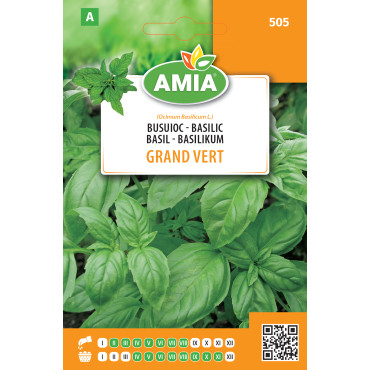 Seminte de busuioc Grand Vert 1 gr Amia